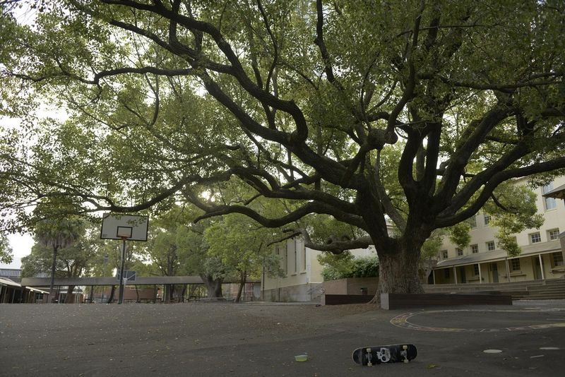 Leichardt Public